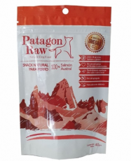 Patagon Raw Perro Salmón