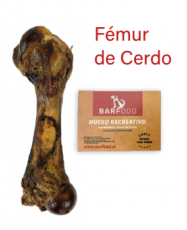 Fémur de Cerdo