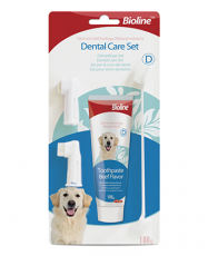 DENTAL HYGIENE SET