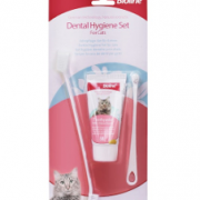 DENTAL CAT KIT