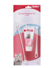 DENTAL CAT KIT