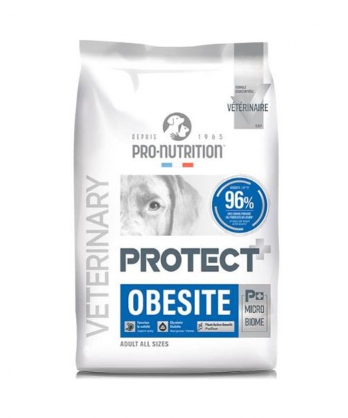 PROTECT Obesité Canino12kg